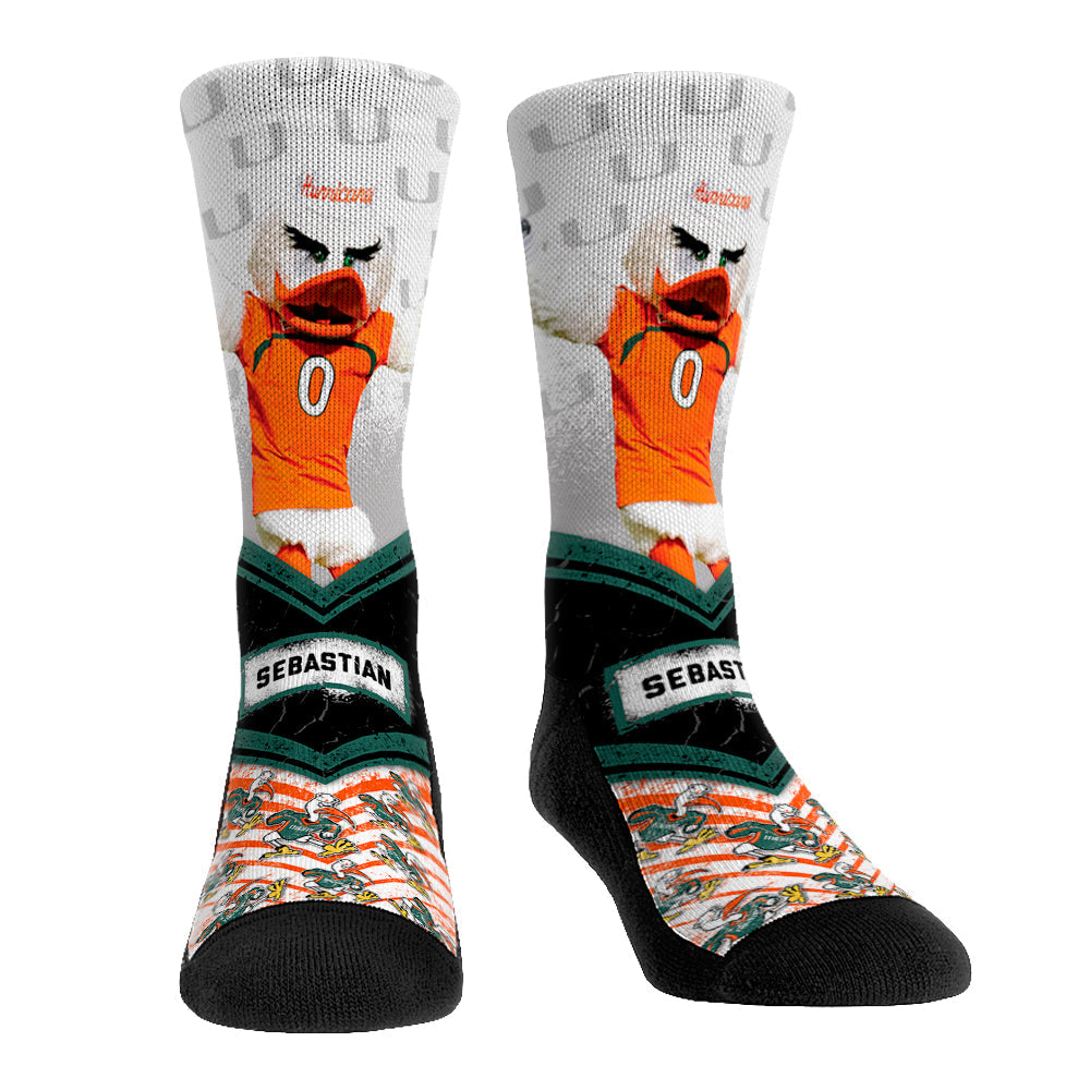 Miami Hurricanes - Mascot Walkout